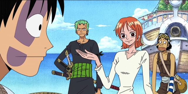 ఫిల్లర్ ఆర్క్లో లఫ్ఫీ మరియు కో చిత్రం.